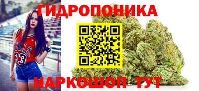 индика Балахна