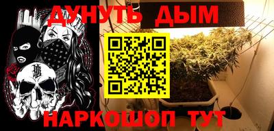 индика Балахна