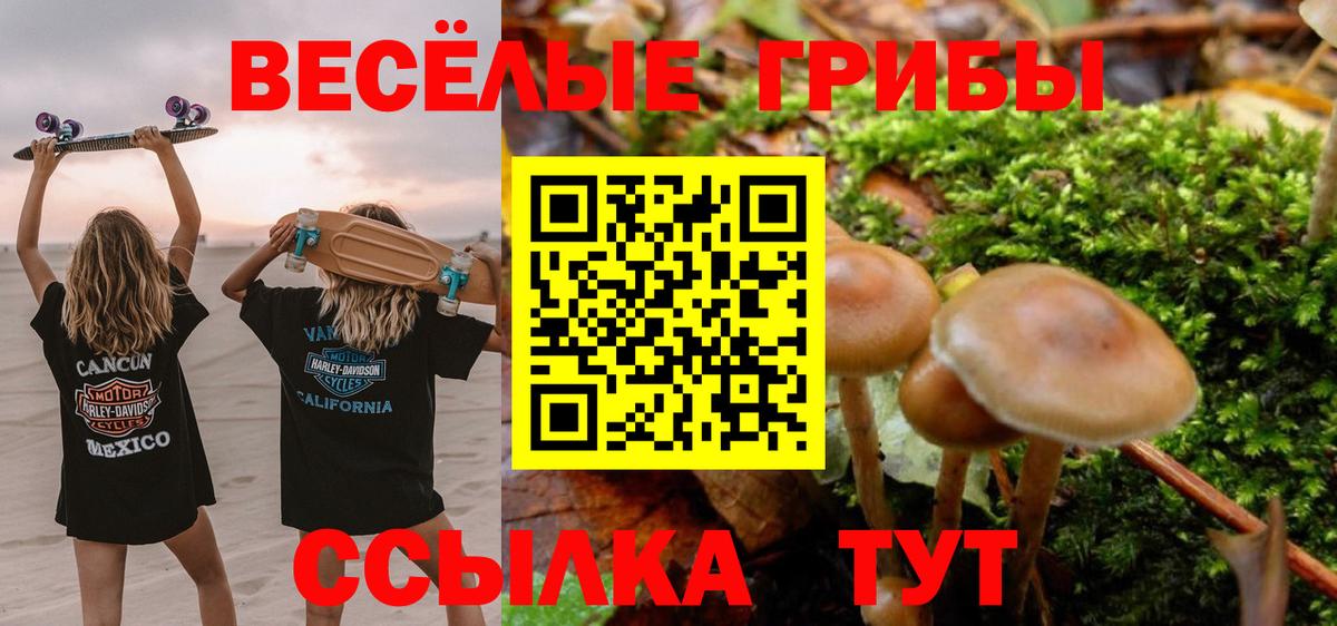 наркота  Вход с VPN  Псилоцибиновые грибы Psilocybine cubensis  Железноводск  Галлюциногенные грибы Cubensis 